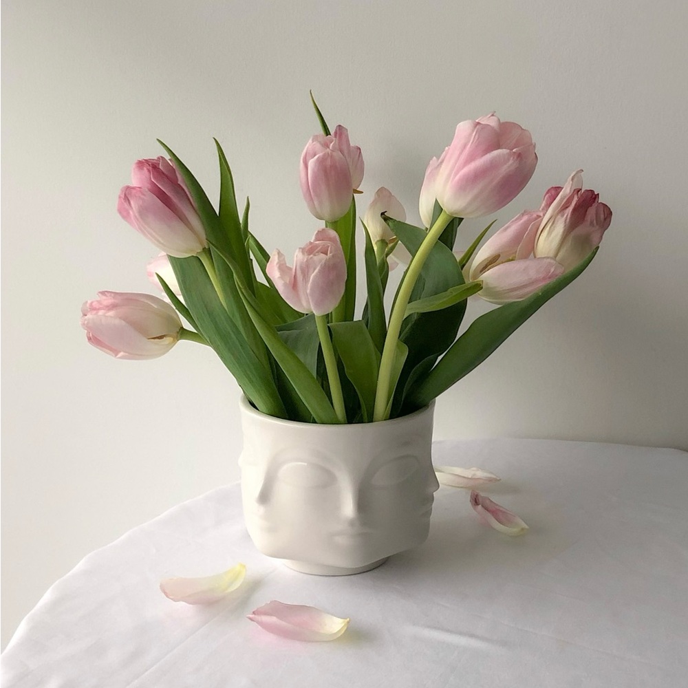 NEW Jonathan Adler Bowl